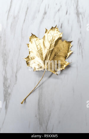 Golden fragile maple tree in a garden, Melbourne, Australia Stock Photo ...