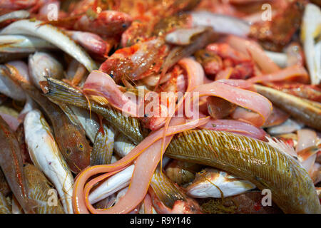 Fishes mix for fumet fish soup from Mediterranean Stock Photo