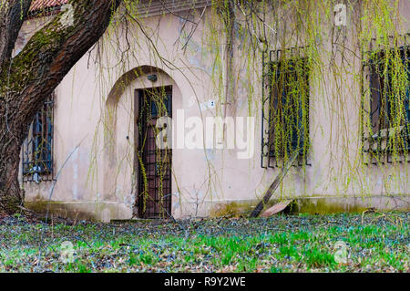 Vilnius, Lithuania - April 28, 2013: Closed arch door and window under willow tree branches with young leaves. Backyard entrances to abandoned Catholi Stock Photo