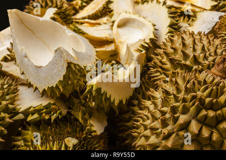 a Pile of durian with several cut up but empty insidie. brown in color. Stock Photo