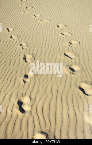 Foot marks on a wrinkled sunny beach Stock Photo