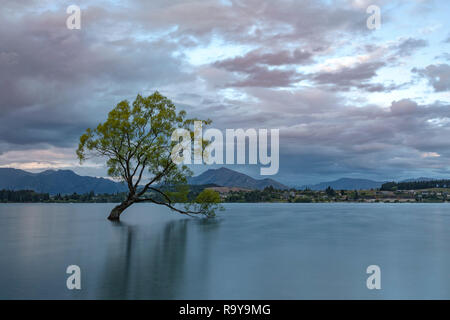 Wanaka, Otago, Queenstown Lakes District, South Island, New Zealand