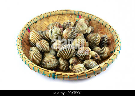 fresh cockles in the basket isolated on white background Stock Photo