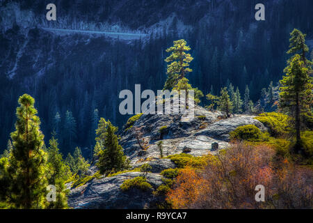 Lovely view of trees atop a cliff seen from the Vikingsholm Hiking Trail, Emerald Bay State Park, South Lake Tahoe, California Stock Photo