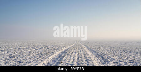 Tire tracks on a field in winter Stock Photo