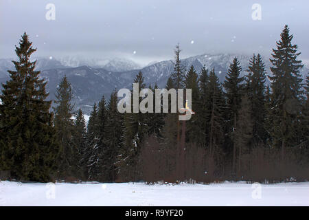 View from Gubalowka (1,126 m) on Tatry mountains in snowing day, Zakopane, Poalnd Stock Photo