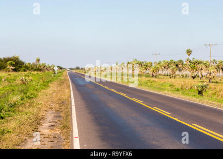 National Route 9 highway runs through a palm forest and grasses of