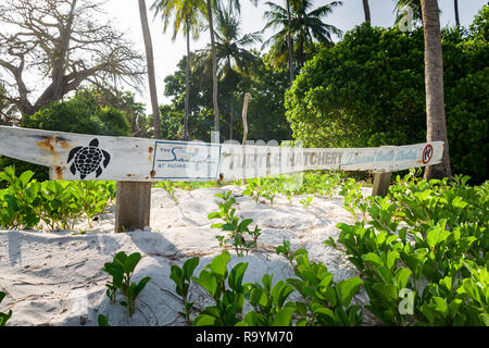 A sign for the turtle hatchery at Diani beach with information on turtles, Diani, Kenya Stock Photo