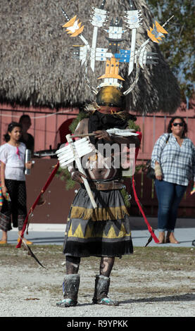 A White Mountain Apache Crown dancer, dances at the 2018 Miccosukee Arts & Crafts Festival at the Miccosukee Indian Village in South Florida on December29, 2018. Stock Photo