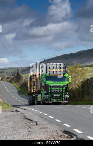 Articulated lorry transporting timber down a rural road, North Yorkshire, UK. Stock Photo