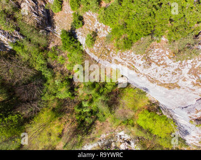View from above of a rocky wall with some pines in the spring Stock Photo