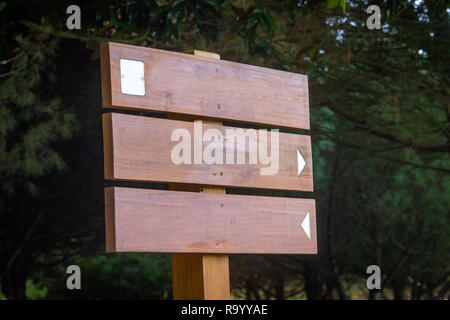 Side view of a wooden sign mockup with two signaling arrows and a white square. Green forest park background. Stock Photo