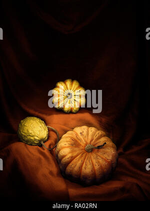 An arrangement of edible and ornamental winter squashes, pumpkins, on draped fabric. Light painting still life. Vertical.