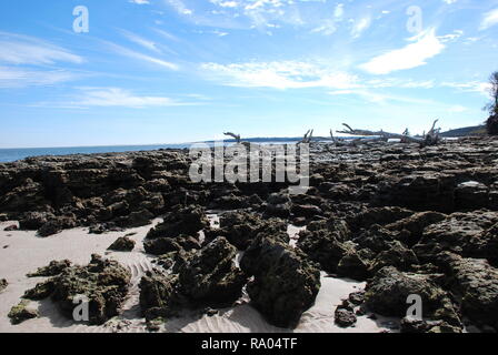 rock beach Stock Photo