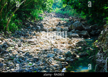 Dry river bed, Waimea Valley, Oahu, Hawaii Stock Photo