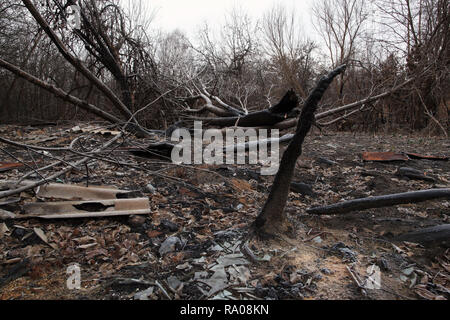 Remains of the Ukrainian village Polesskoye after forest fires raged in the Chernobyl Exclusion Zone. Recurrent forest fires lead to renewed fall outs Stock Photo