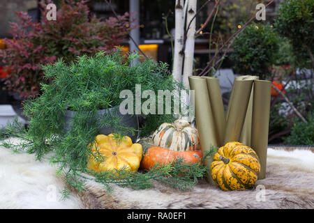 Winter squash on a fur rug, outside dinning Stock Photo