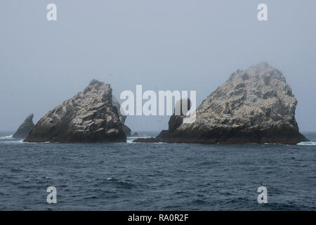 Shag Rocks. These rocky islands are the westernmost extremity of the ...