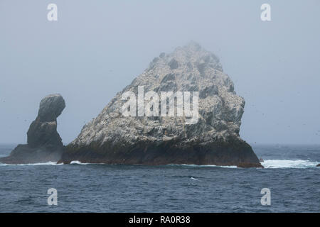 South Georgia, Shag Rocks. Uninhabited group of  small islands (aka Islas Aurora) in the westernmost extreme of South Georgia in the South Atlantic. Stock Photo