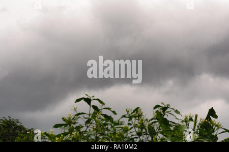 Dark Rain Clouds before thunderstorm. Grey Storm Clouds Before Rain. Stock Photo