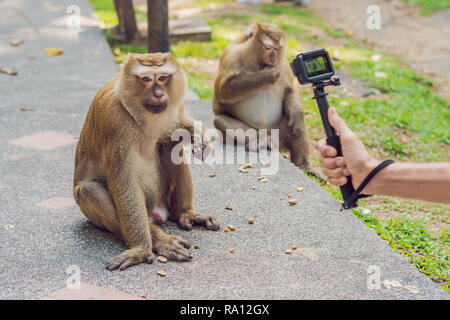 A man takes a picture of a monkey on an action camera