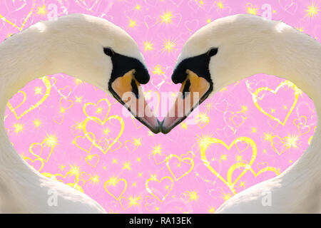 Valentines day concept, two swans making a heart shape together isolated on a pink background with golden sparkling hearts Stock Photo