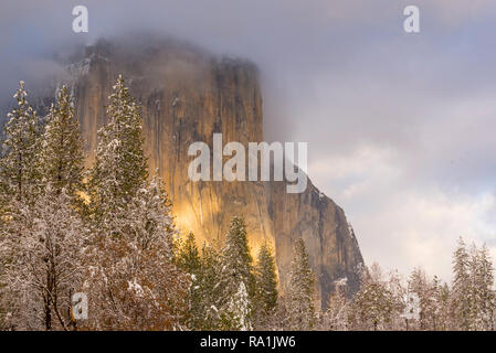 Looking up from the valley floor to a sunny El Capitan rock face with grey storm clouds providing a bridal veil like covering Stock Photo