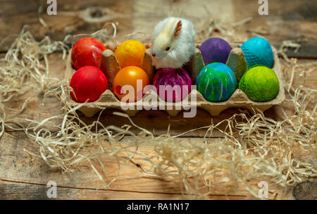 beautiful, bright, very colorful hand-painted eggs on a contrasting, raw, natural background from wooden planks Stock Photo