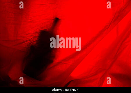 alcohol bottle on red backround. copy cpace Stock Photo