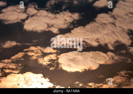 Fluffy clouds in  the sky during the dusk Stock Photo