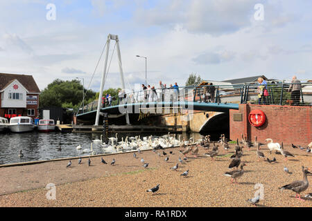 Pleasure boats on the River Bure at Wroxham town in the Norfolk Broads, Norfolk, England, UK Stock Photo