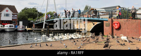 Pleasure boats on the River Bure at Wroxham town in the Norfolk Broads, Norfolk, England, UK Stock Photo