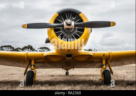 Airplane WWII trainer aircraft flying at airshow Stock Photo - Alamy