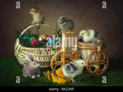 Pictorial Easter photography with funny chickens Stock Photo