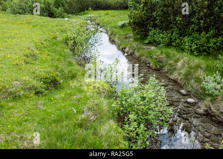 river in the fumo valley in italy Stock Photo