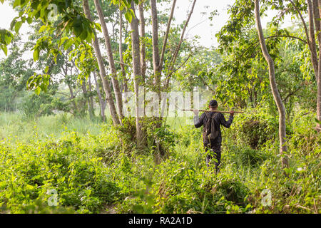 Nepali man hiking though the jungle in Chitwan National Park, Chitwan, Nepal Stock Photo