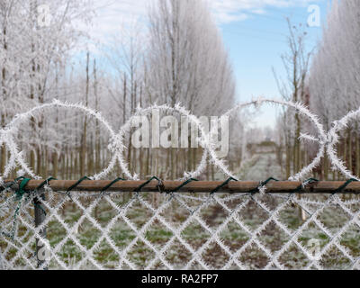 Image of frozen barbed wire in the winter with ice crystals Stock Photo