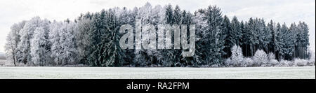 Panorama image of winter landscape with focus on snowy forest Stock Photo