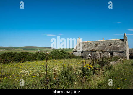 An old abandoned stone croft house with a stone wall on the Mainland island of the Orkney Islands in northern Scotland Stock Photo