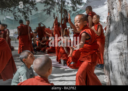 Young buddhist monks traditional debate at the Samstanling monastery in Sumur, Nubra valley, Ladakh, Jammu and Kashmir, India, July 19, 2018. (CTK Pho Stock Photo