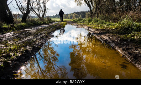 Human figure on off-road track. Tree mirroring in water close-up. Man silhouette. Muddy bumpy field path in spring landscape. Forest in a background. Stock Photo