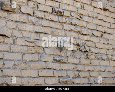 Dark gray covered brick wall with light reflecting off out doors Stock Photo