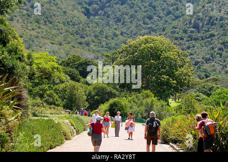 A beautiful summer's day in Kirstenbosch National Botanical Garden in Cape Town, Western Cape Province, South Africa.