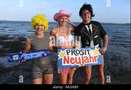 Stralsund, Germany. 01st Jan, 2019. The 2019 ice bathing season for the Stralsund 'walruses' begins with the New Year's swim in Strelasund off Stralsund. With air temperatures of six degrees plus, the ice bathers did not have to chop a hole to get into the water on this New Year's Day. Credit: Stefan Sauer/dpa-Zentralbild/dpa/Alamy Live News Stock Photo