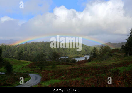 Autumn rainbow over Tarn Hows, Lake District National Park, Cumbria, England, UK