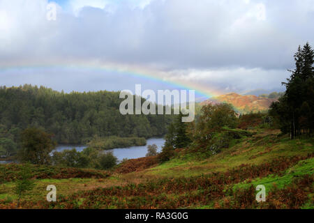 Autumn rainbow over Tarn Hows, Lake District National Park, Cumbria, England, UK