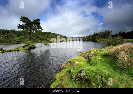Autumn view over Tarn Hows, Lake District National Park, Cumbria, England, UK Stock Photo