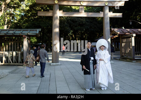 Shinto bride wearing the traditional watabōshi white hood posing with groom in the Meiji Jingu Shinto Shrine Stock Photo