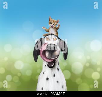 Black and white dog licking his mouth, kitten sitting on his head, greedy look, Germany Stock Photo