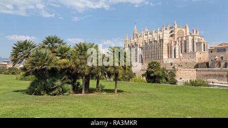 Cathedral La Seu, Palma de Majorca, Spain Stock Photo